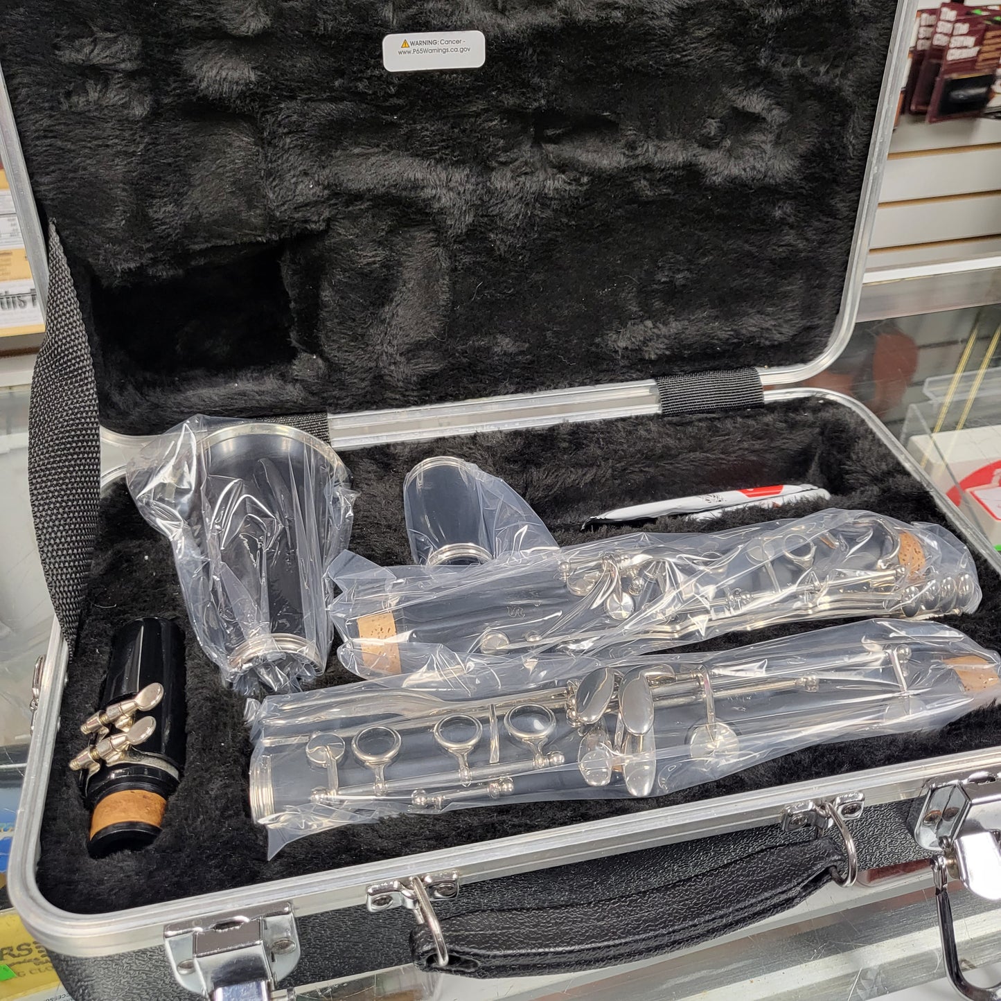 Selmer CL301 Clarinet Student Used 16073875