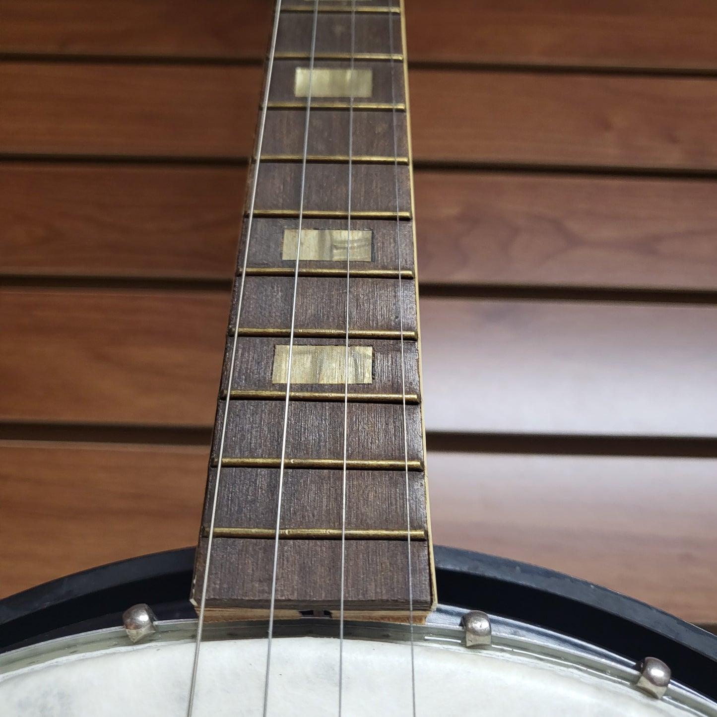 Harmony Roy Smeck 4-String Tenor Banjo