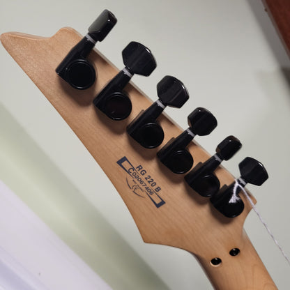 Ibanez RG220B Standard Electric Guitar