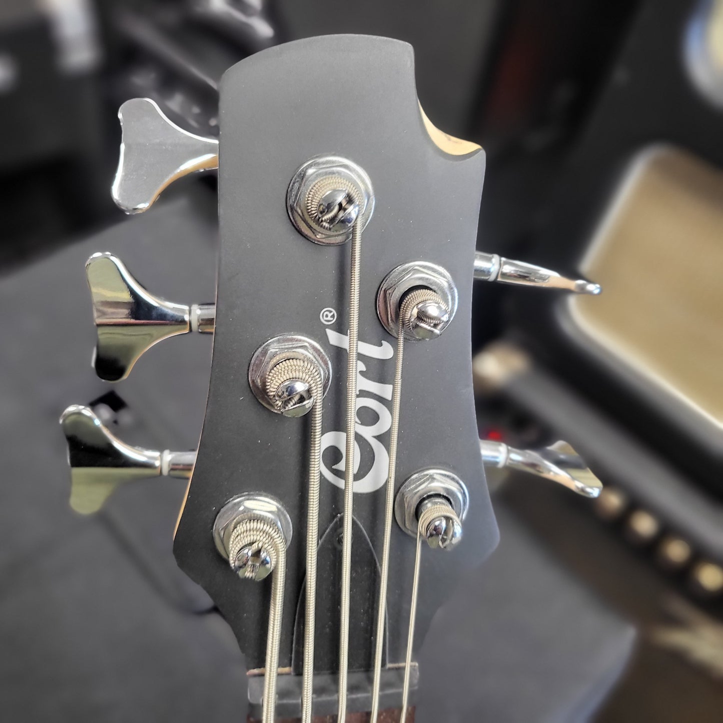 Cort Action v Plus 5-String Bass Candy Red New