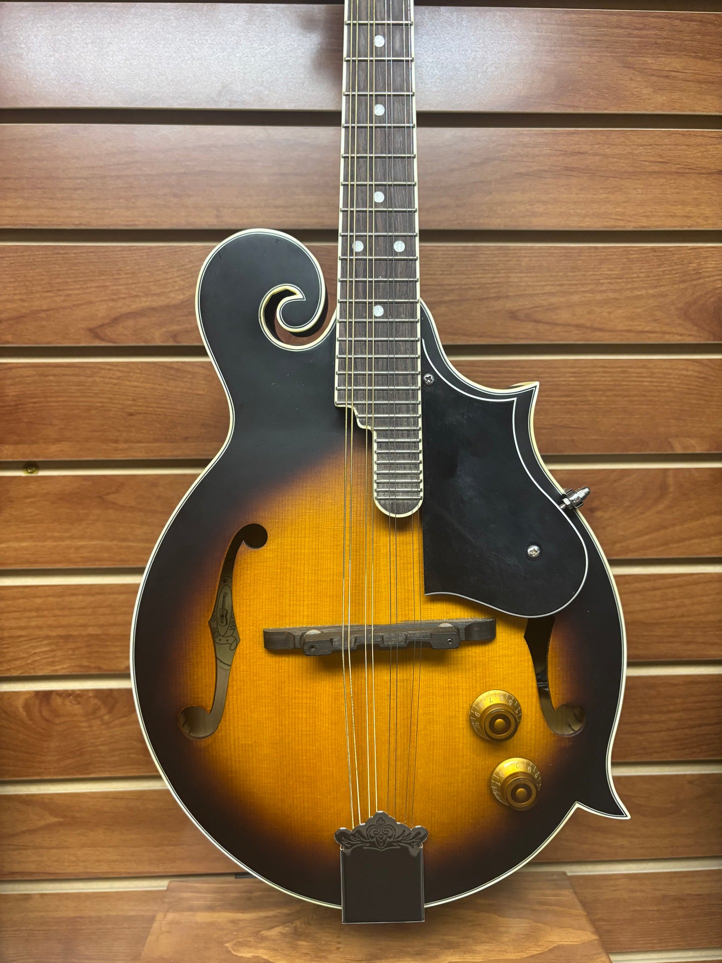 Washburn M3EK-A Mandolin