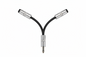 CB2 XLR Male to 2 Female